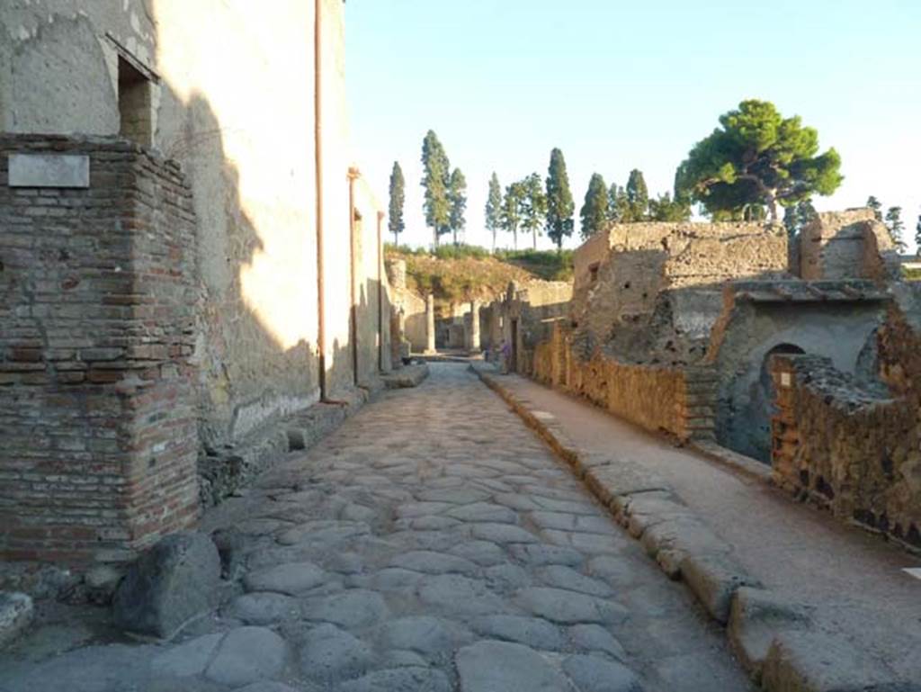 Decumanus Inferiore, looking east from junction with Cardo IV, September 2015.
Ins. V 1 is on the left, Ins. IV 10 is on the right. At the end of the roadway, the two columns at the entrance to the Palestra can be seen on Cardo V at Ins. Orientalis II, 4.